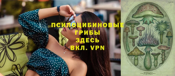 СК Заводоуковск