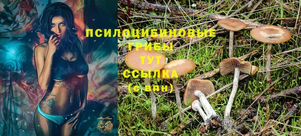 МДМА Заволжье